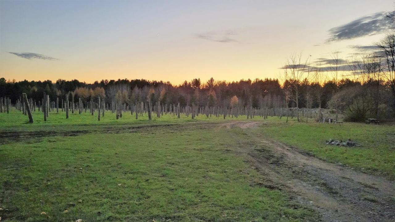 Auberge Du Vignoble 布罗蒙 外观 照片