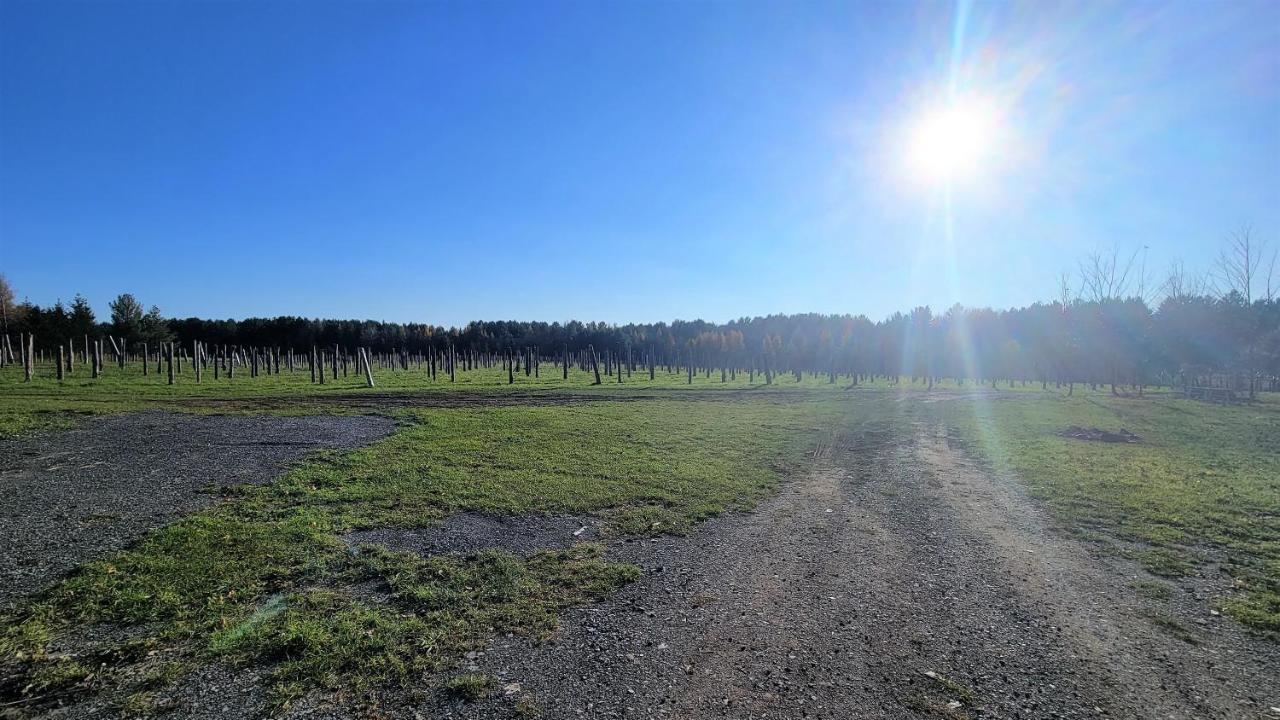 Auberge Du Vignoble 布罗蒙 外观 照片