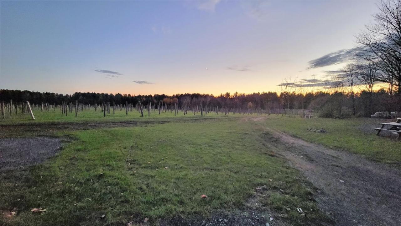 Auberge Du Vignoble 布罗蒙 外观 照片